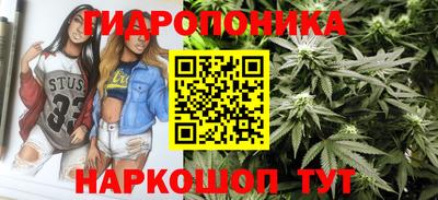 соль ск Балахна