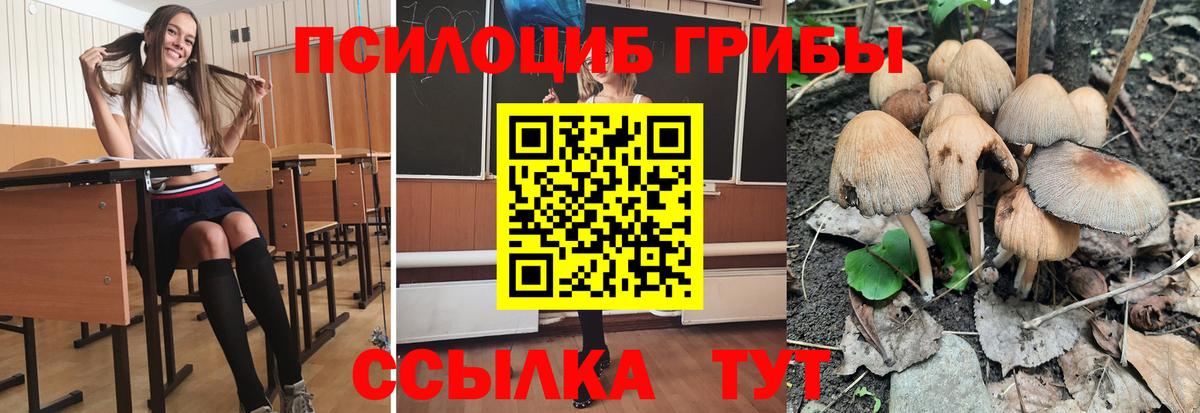 Галлюциногенные грибы Cubensis Екатеринбург